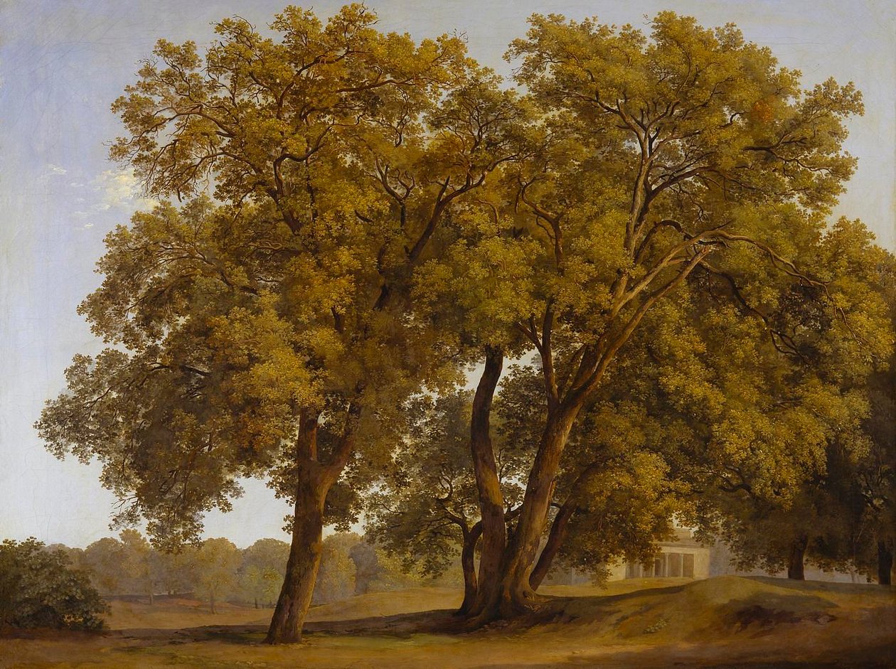 Træer i Villa Borghese-parken af Johann Christian Reinhart
