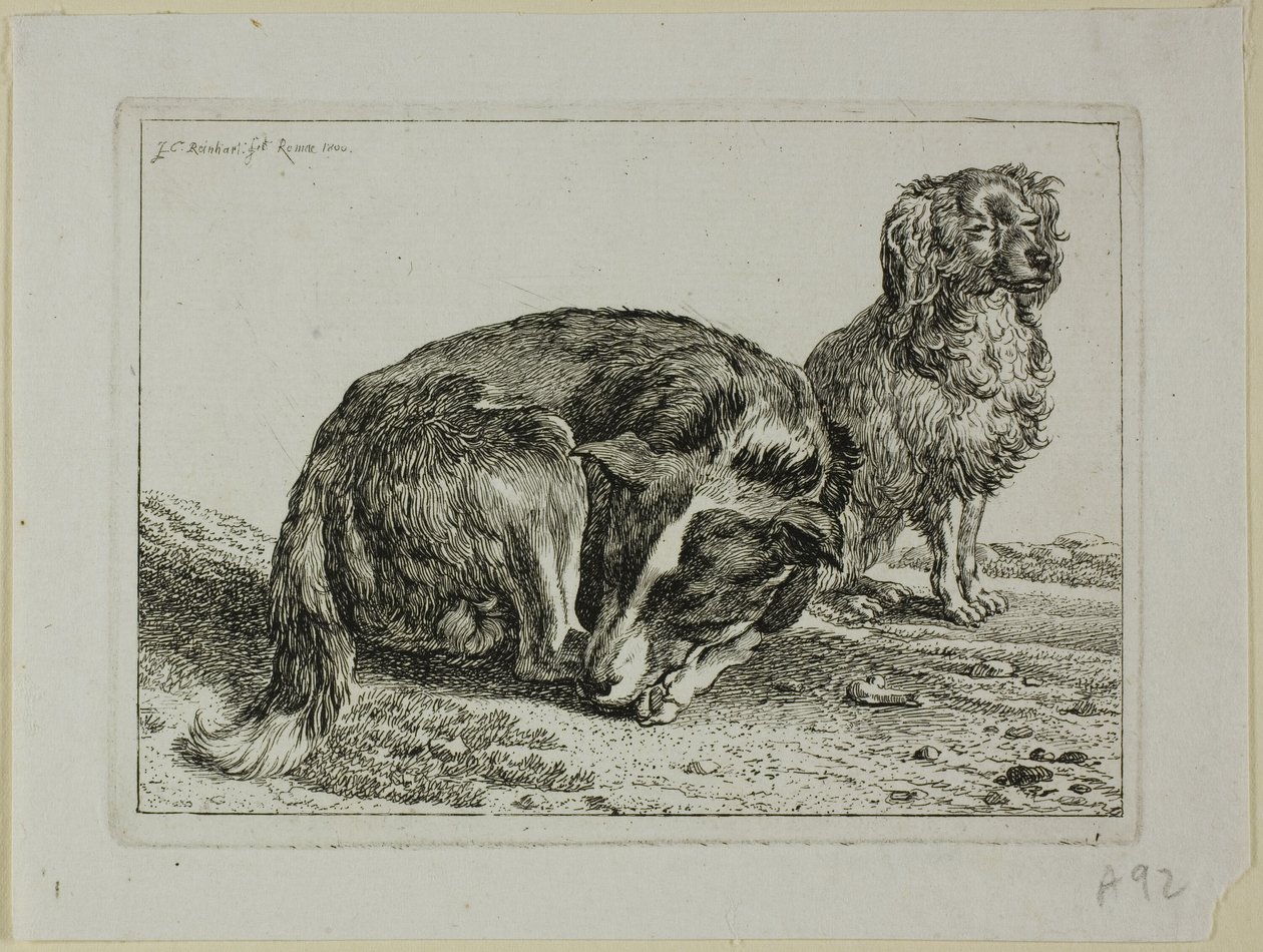 Two Dogs Resting, fra Die Zweite Thierfolge af Johann Christian Reinhart