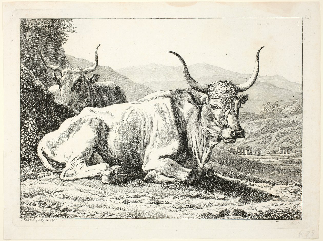 To romerske tyre hviler, fra Die Zweite The Erfolge af Johann Christian Reinhart