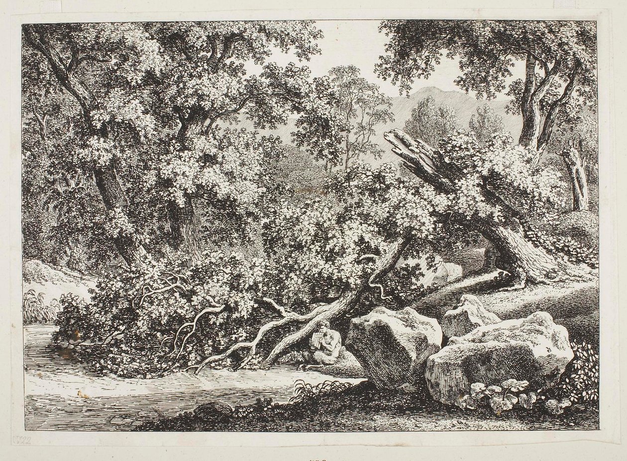 Skovscene med et knækket egetræ af Johann Christian Reinhart