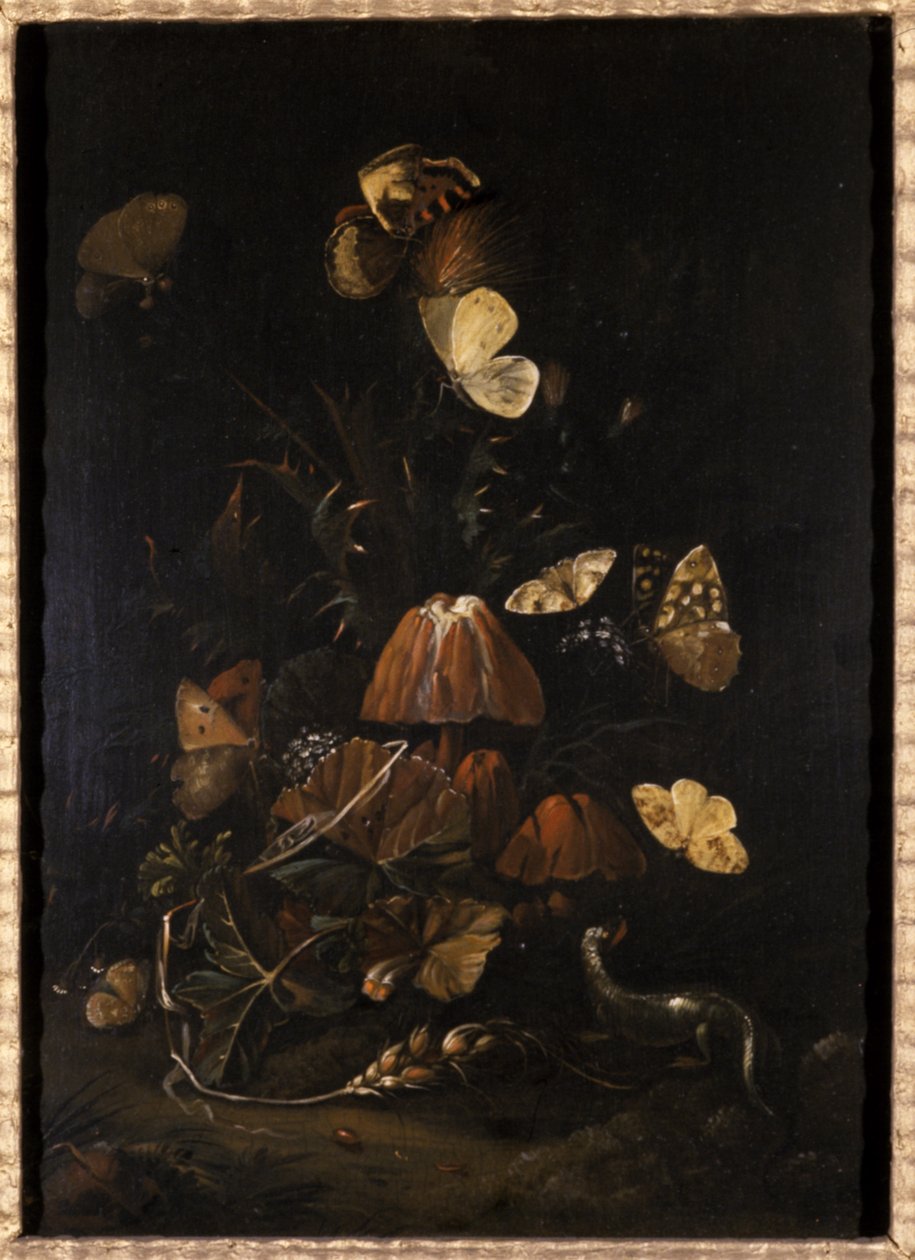 Blomster med sommerfugle og firben (olie på egetræ) af Johann Christian Thomas Winck