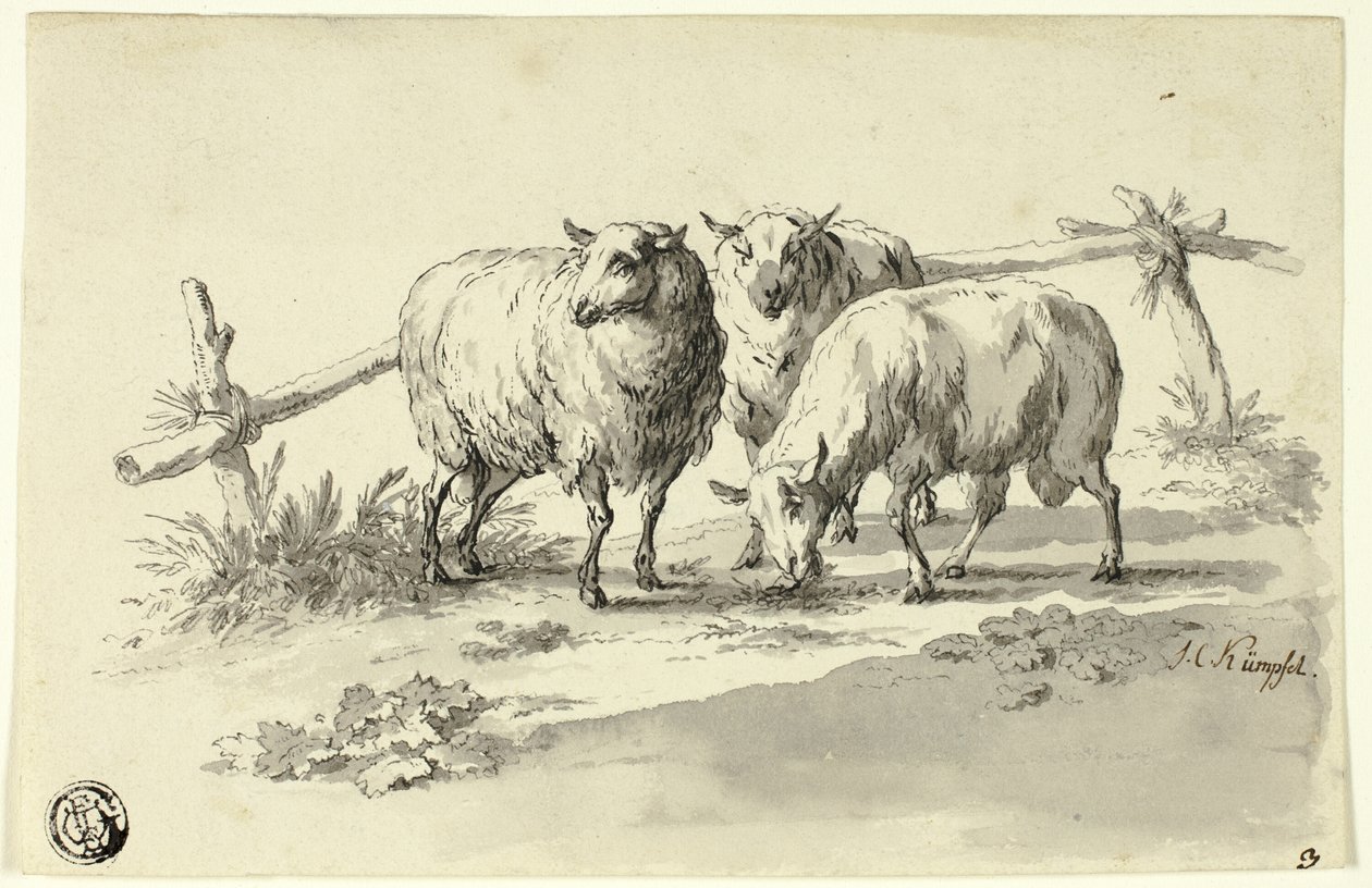 Får af Johann Christoph Kimpfel