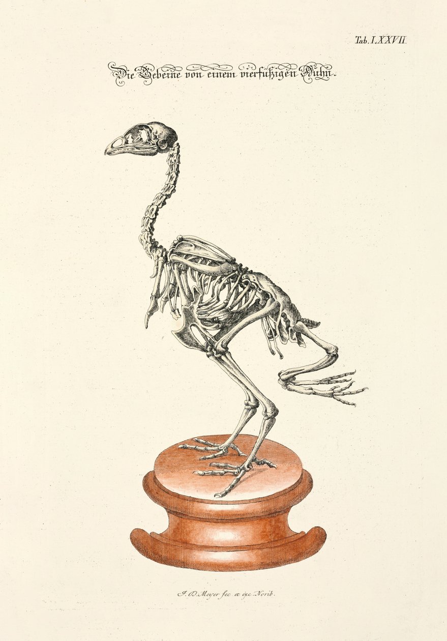  af Johann Daniel Meyer