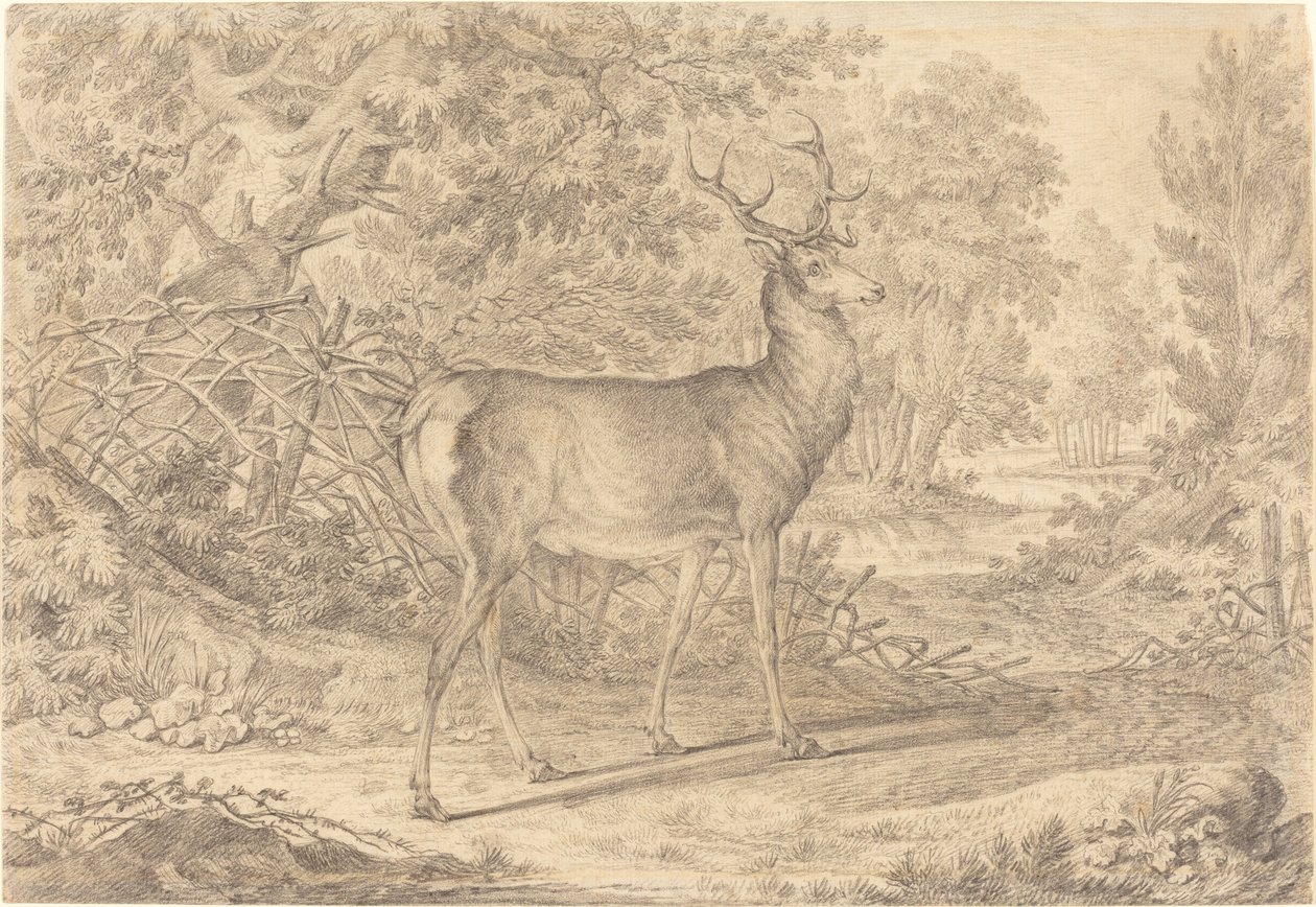 En pragtfuld ung kronhjort foran et Wattle-hegn af Johann Elias Ridinger