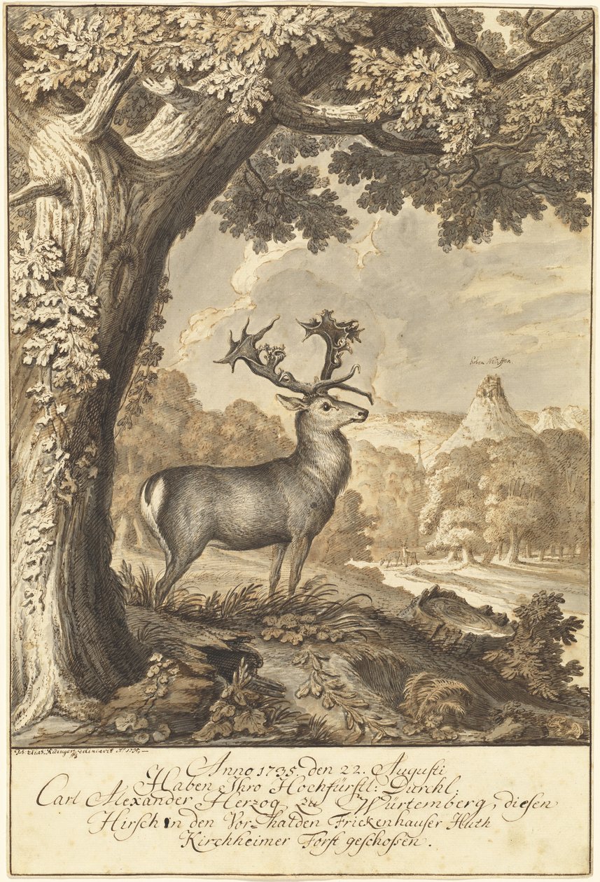 En kronhjort under en mægtig eg af Johann Elias Ridinger