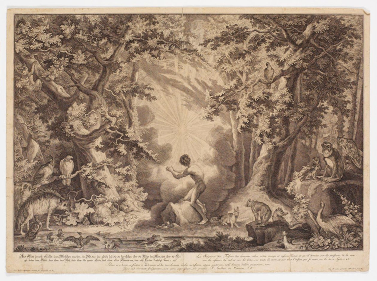 Adams skabelse af Johann Elias Ridinger