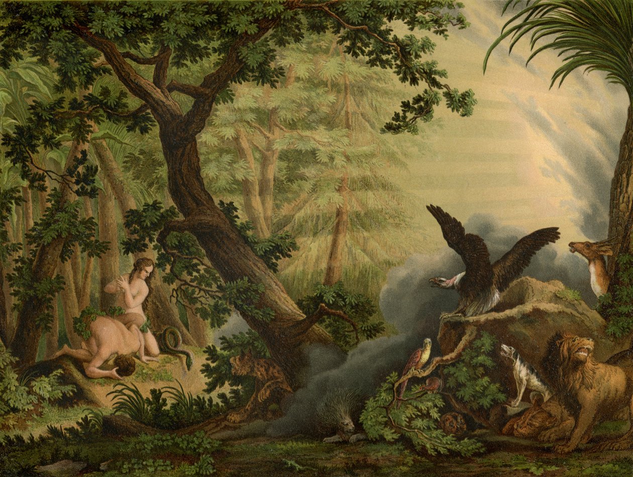Faldet af Johann Elias Ridinger or Riedinger