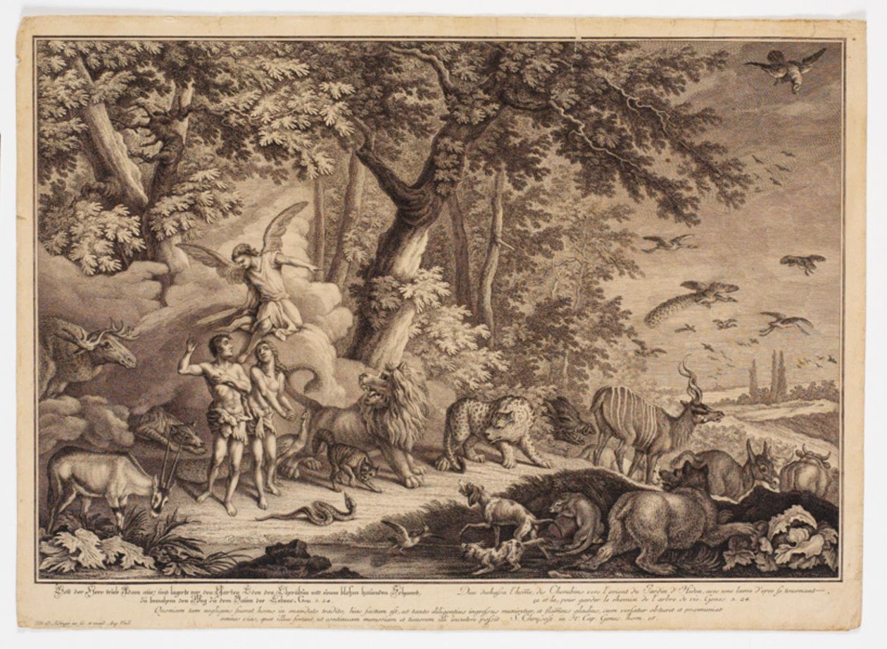 Uddrivelsen fra paradiset af Johann Elias Ridinger