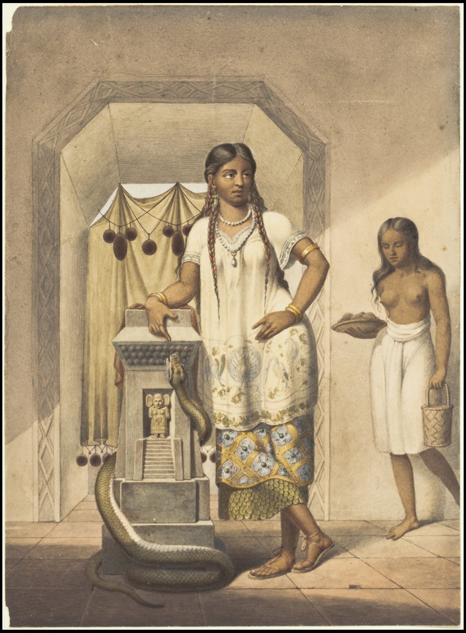 En samling af Waldecks originale kunstværk fra Mesoamerica, boks 3 af 22 af Johann Friedrich Maximilian von Waldeck