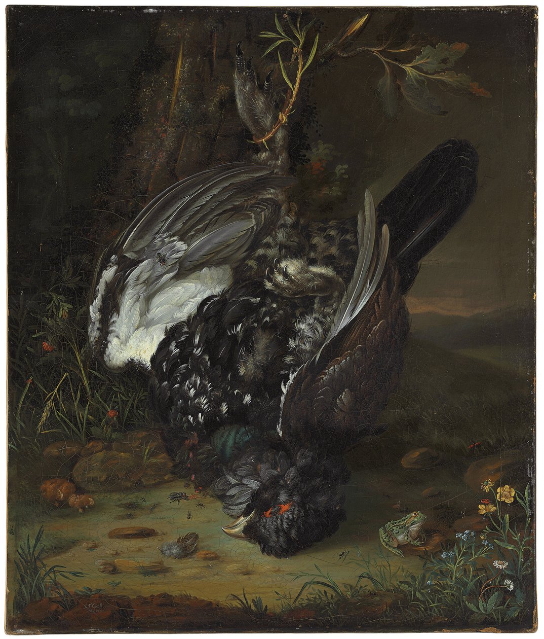 En sorthane i et skovklædt landskab, 1747 af Johann Friedrich von Grooth