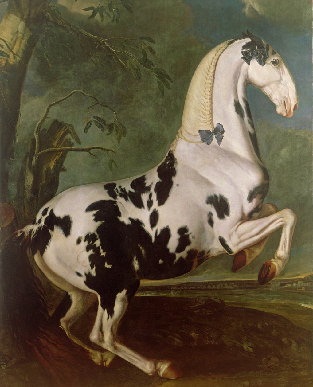 Den Piebald Hingst ved Eisgruber Stud af Johann Georg Hamilton