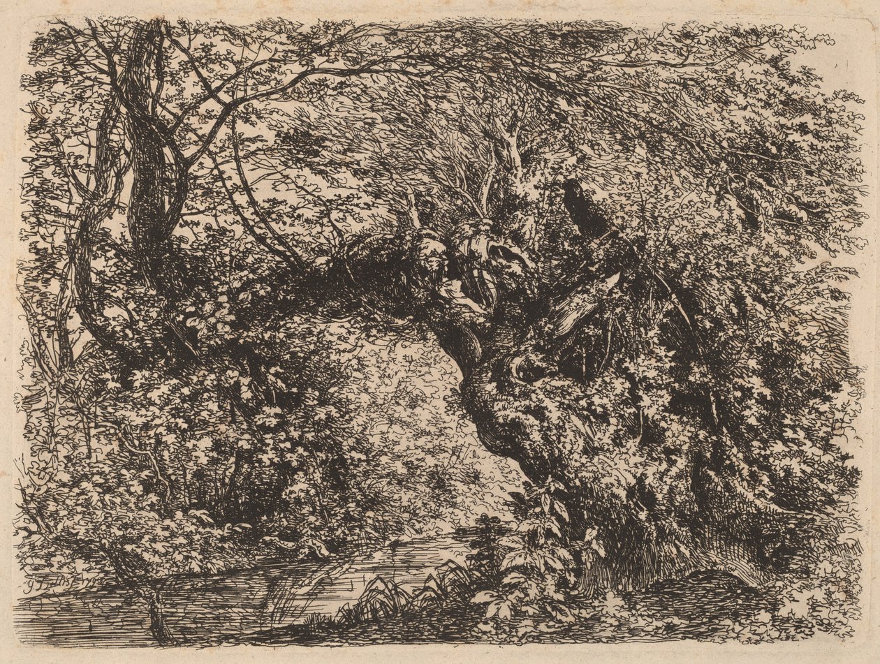En gammel Pil ved en Strøm af Johann Georg von Dillis