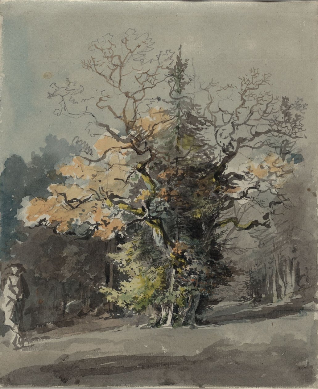 Trægruppe foran skov af Johann Georg von Dillis
