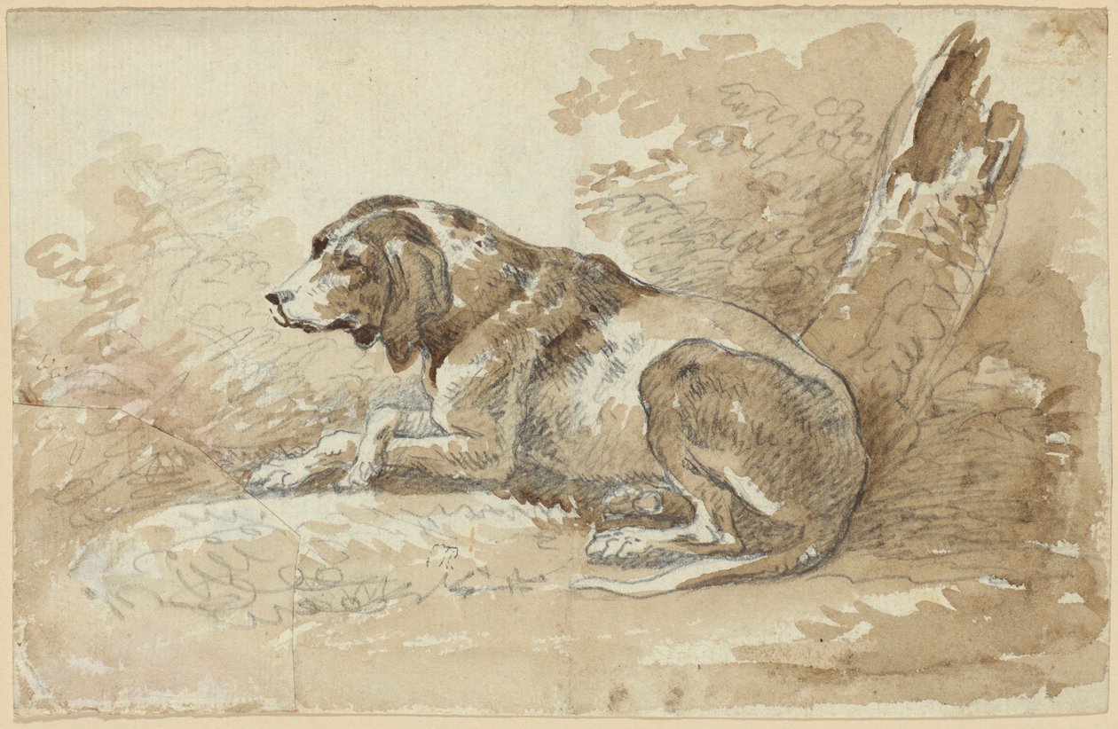 To undersøgelser af hunde af Johann Georg von Dillis