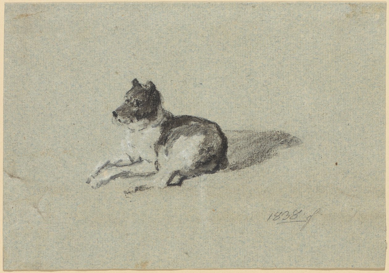 To undersøgelser af hunde af Johann Georg von Dillis