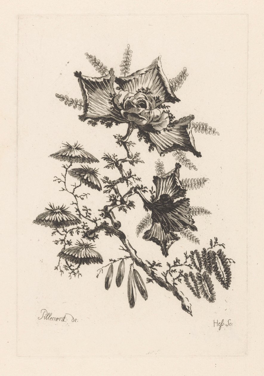 Drageformede blomster Fleures Baroque (serietitel) af Johann Heinrich  Hess