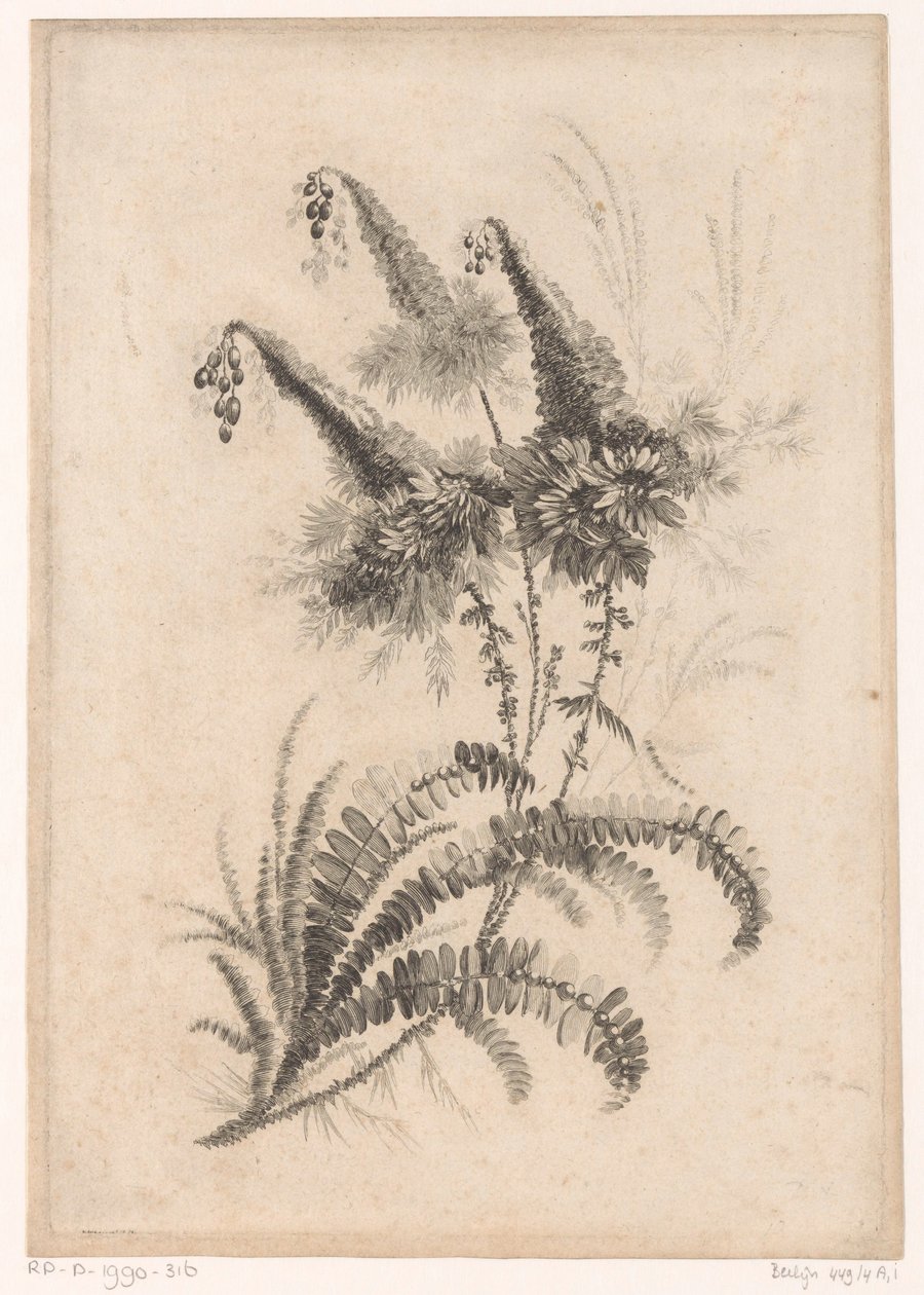 Puntige blomster Samling af nye smagsblomster; Til Manufacture des Etoffes de Perse (serietitel) af Johann Heinrich  Hess