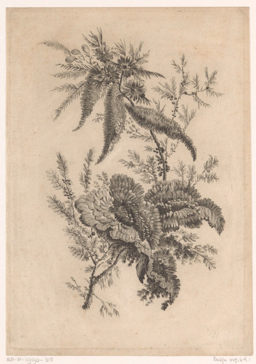 Wilde roosachtigen Samling af nye smagsblomster; Til Manufacture des Etoffes de Perse (serietitel) af Johann Heinrich  Hess