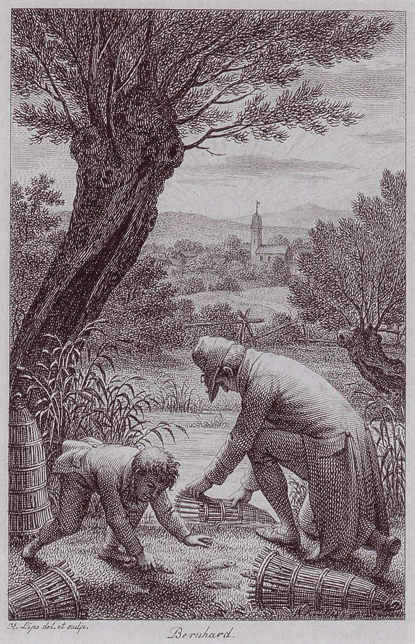 BernhardJHLipsi af Johann Heinrich Lips