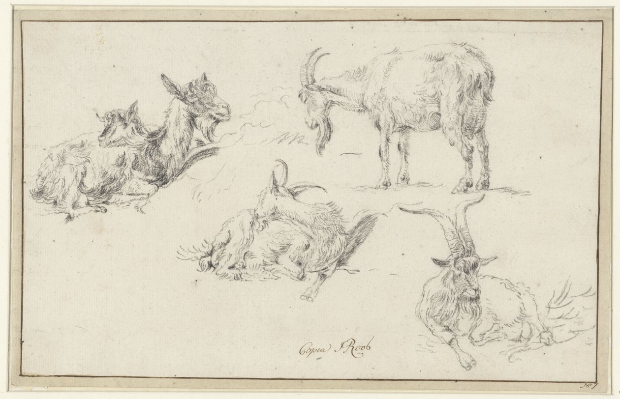 Studier af en ged af Johann Heinrich Roos (possibly)