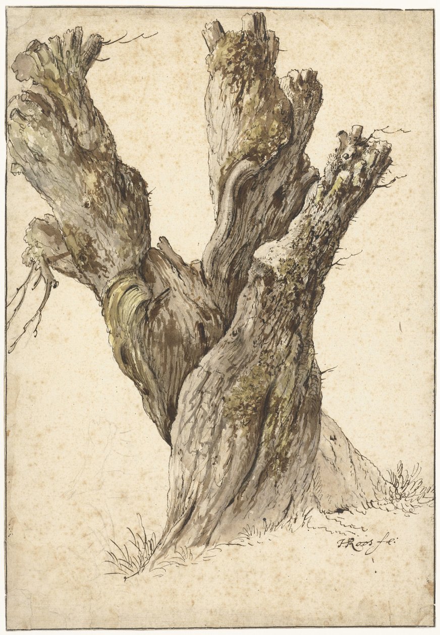Et stynet piletræ af Johann Heinrich Roos