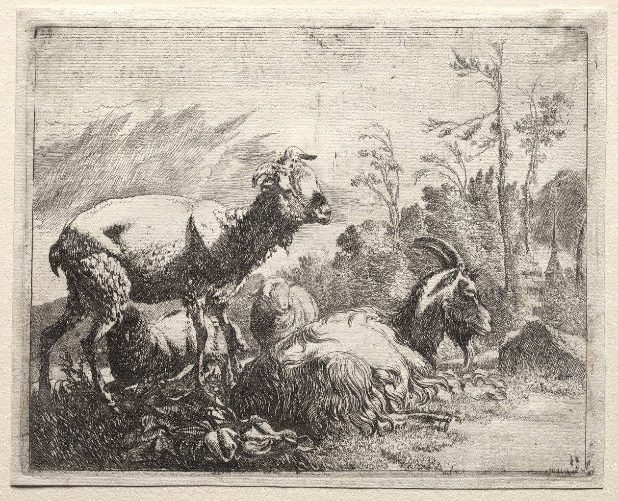 Geder, 1665. af Johann Heinrich Roos