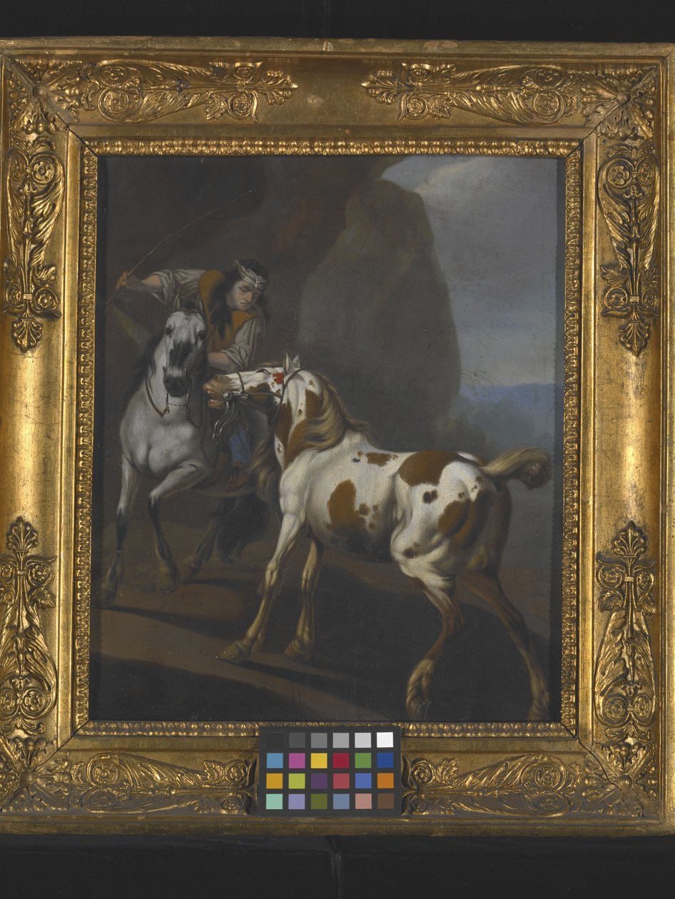 Indian Taming A Horse (olie på lærred) af Johann Heinrich Roos