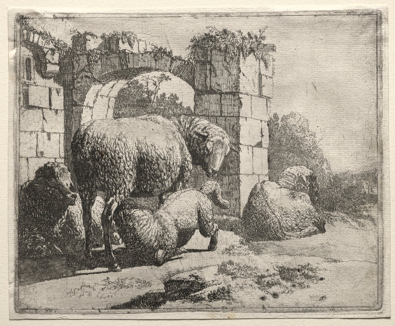 Får nær ruinerne af en bue, 1665. af Johann Heinrich Roos