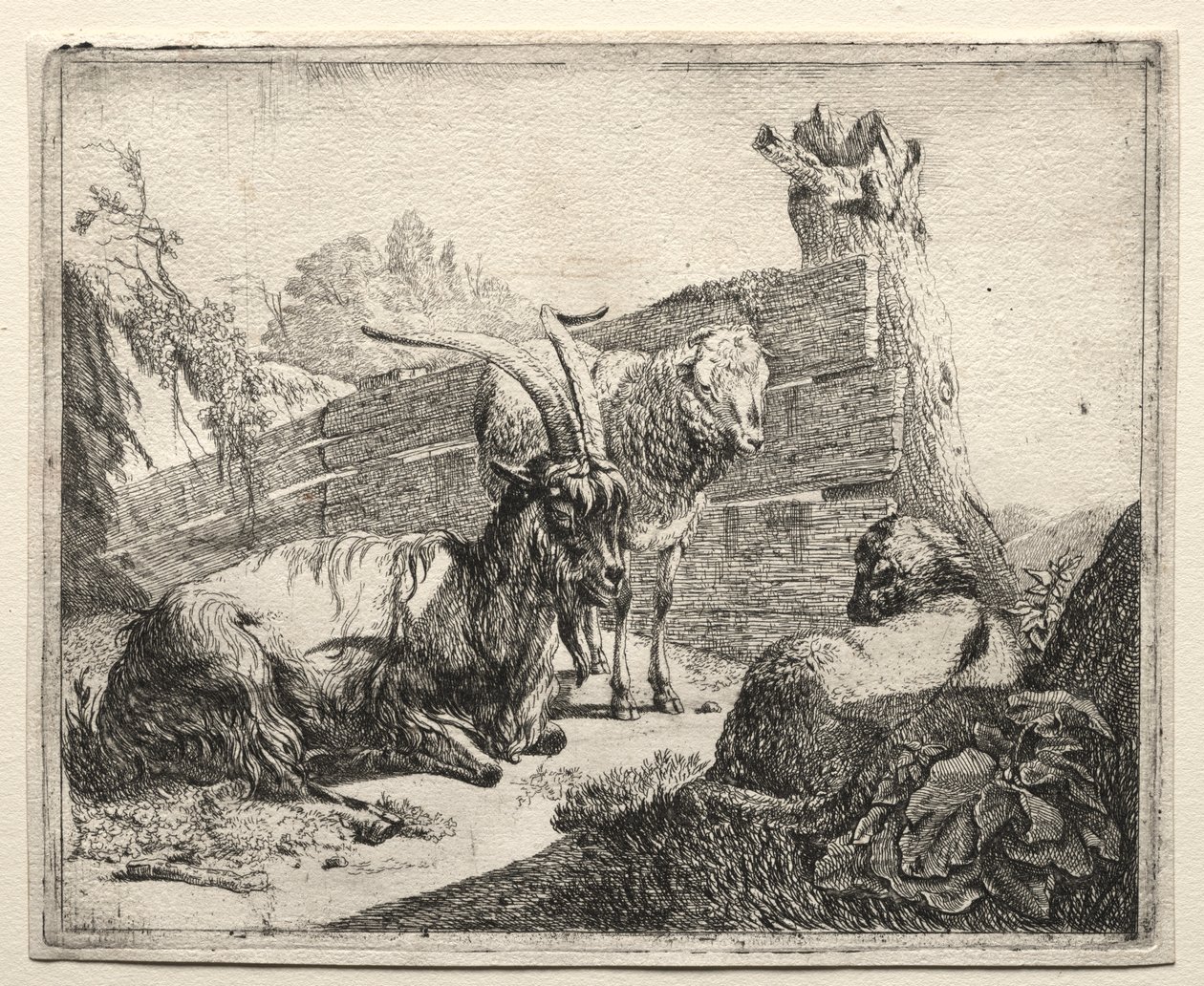Hækken af Johann Heinrich Roos