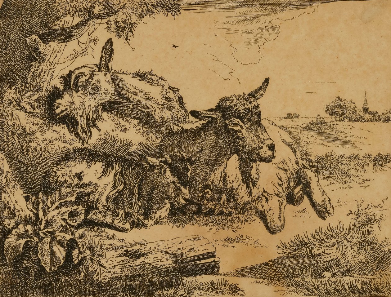 To geder og et kid af Johann Heinrich Roos