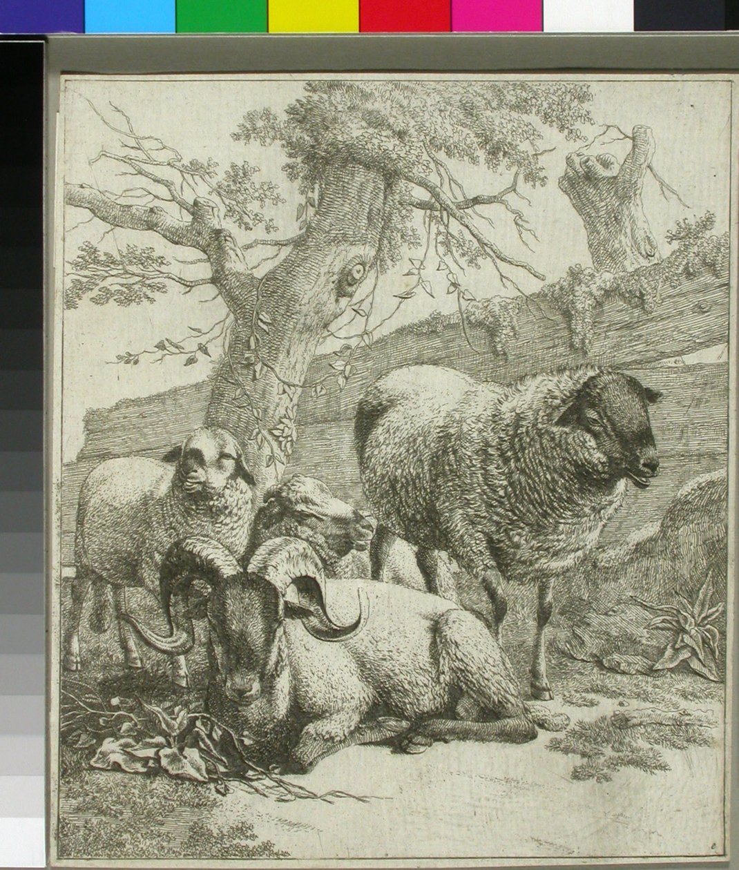 Ohne Titel af Johann Heinrich Roos