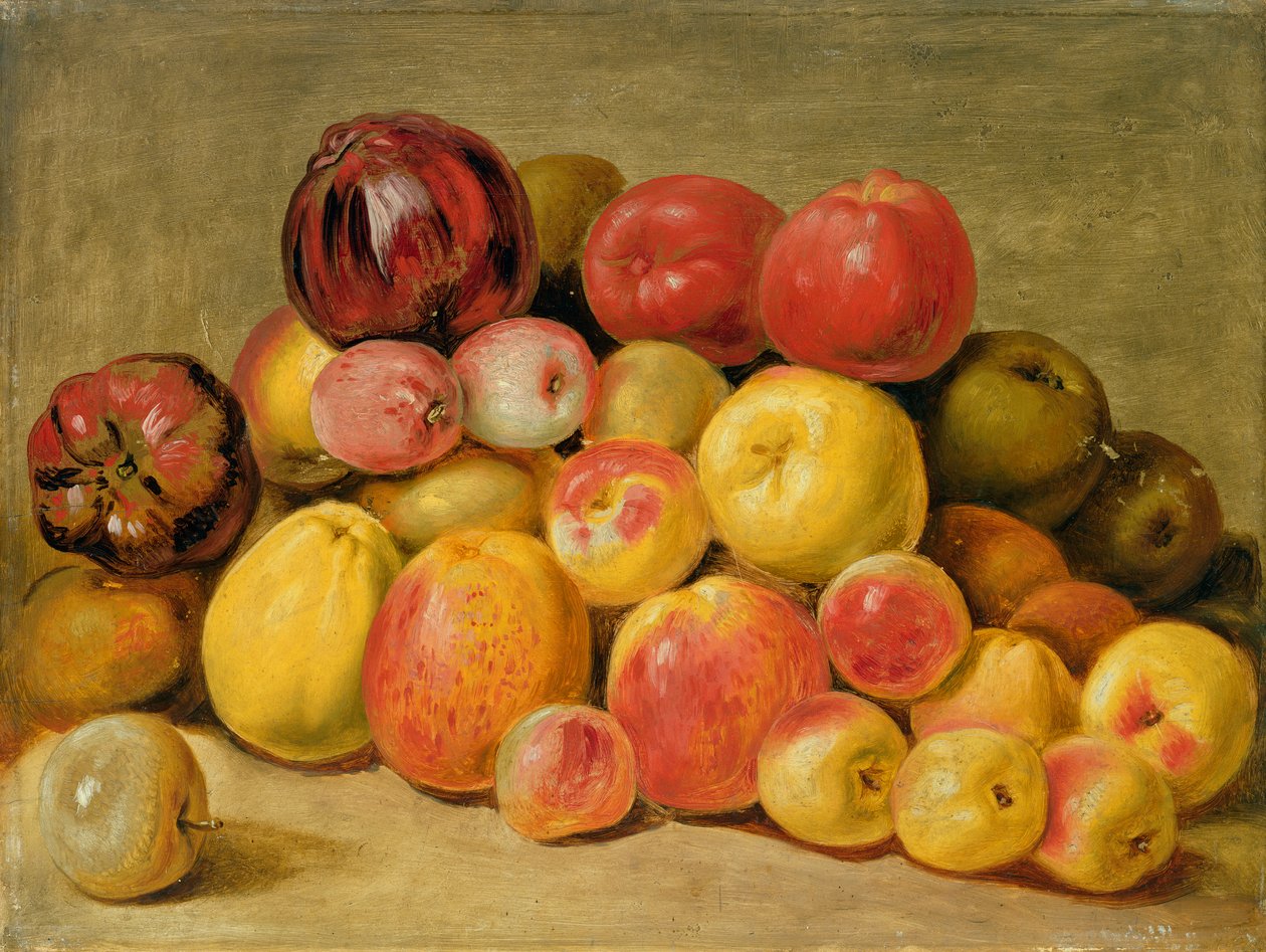 Pieces of Fruit (olie på egetræspanel) af Johann Heinrich Wilhelm Tischbein