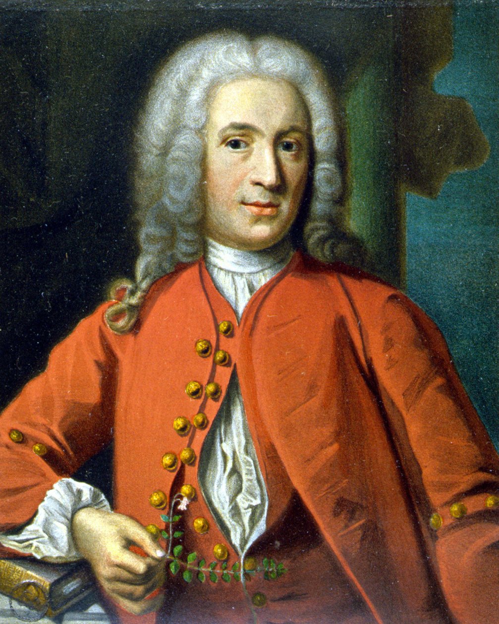 Carl Von Linné svensk naturforsker og forfatter (1707 - 1778) - af J. H. Scheffel, i ""Portræt af Linné"" af Tycho Tullberg af Johann Henrik Scheffel