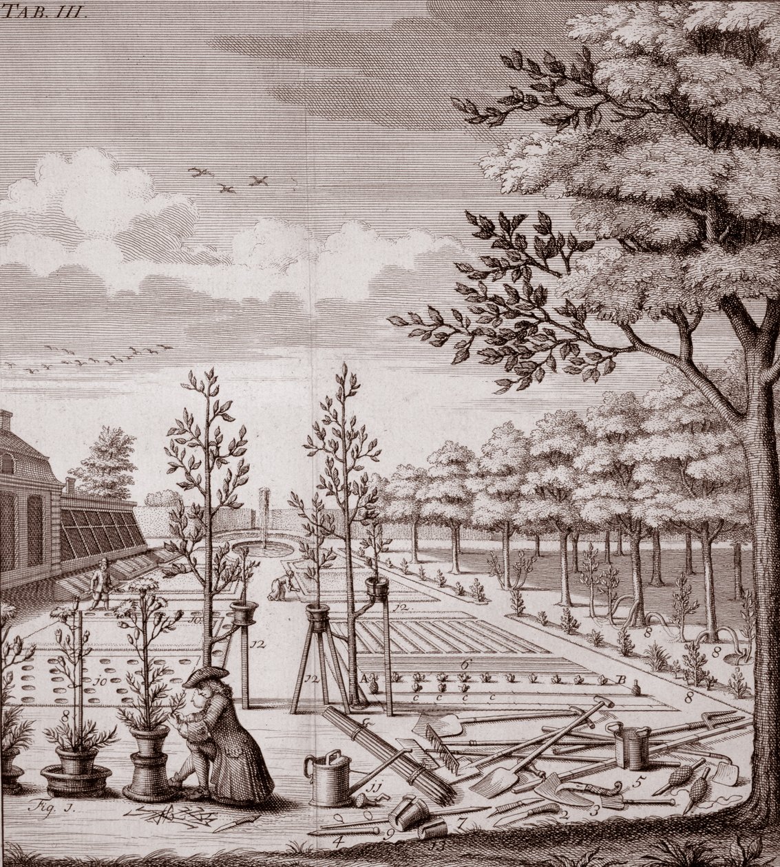 Illustration af en havescene, 1753 af Johann Hermann Knoop