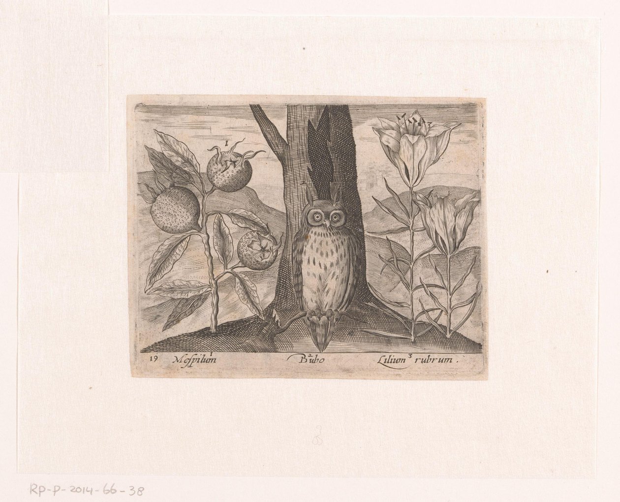 Serie af tryk med blomster og dyr i et landskab Landskab med mispel, lilje og ugle Landskaber med dyr, planter og blomster (serietitel) af Johann Hogenberg