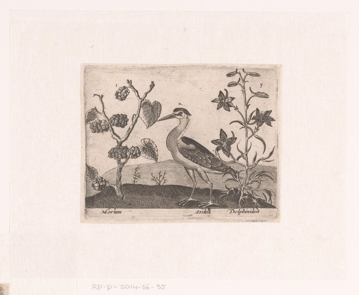 Serie af tryk med blomster og dyr i et landskab Landskab med hejre og lærkespore Landskaber med dyr, planter og blomster (serietitel) af Johann Hogenberg