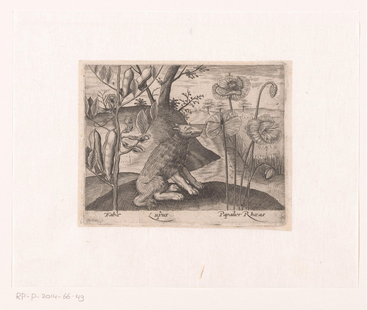 Serie af tryk med blomster og dyr i et landskab Landskab med ulv og planter Landskaber med dyr, planter og blomster (serietitel) af Johann Hogenberg