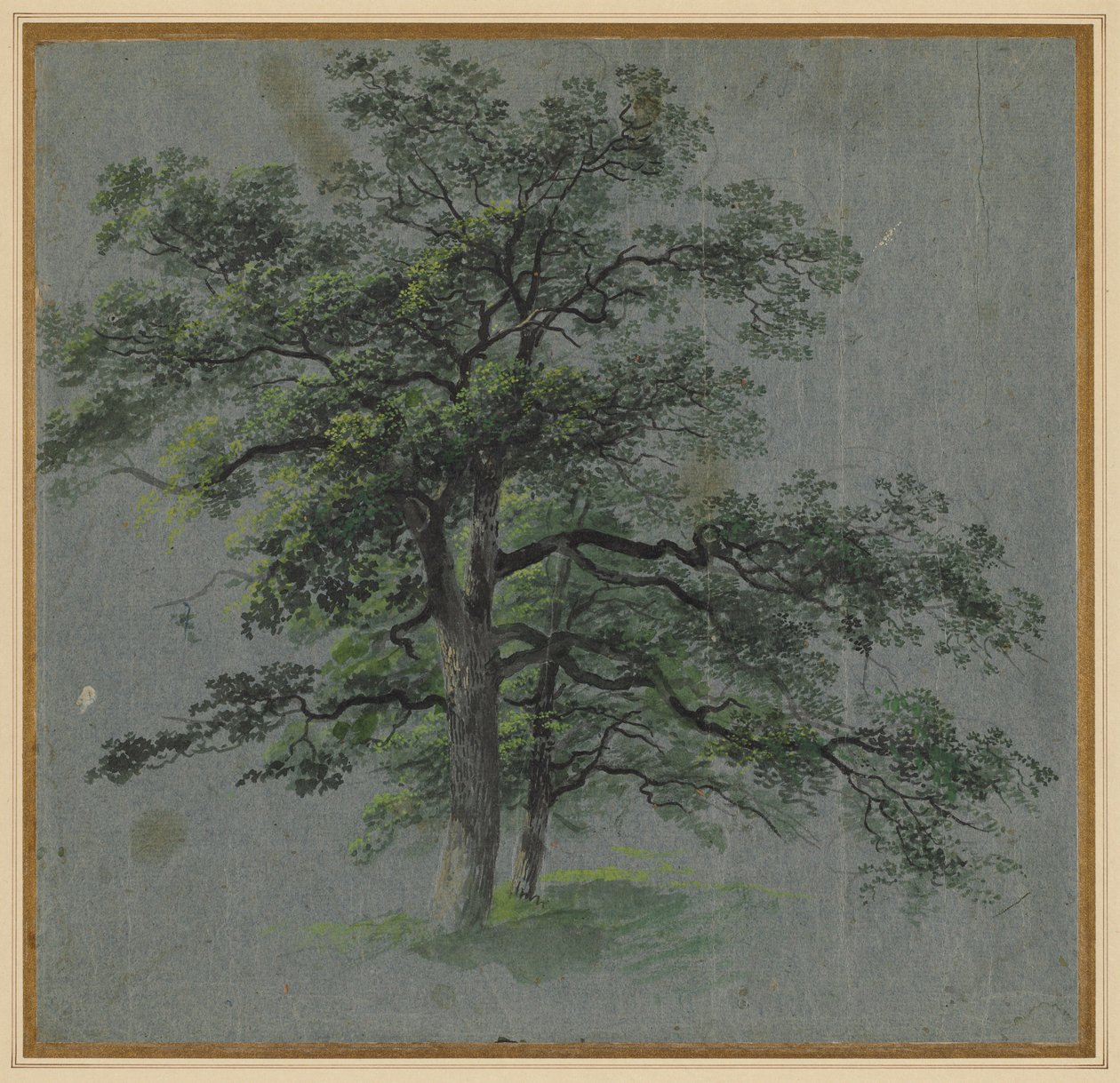 To træer (recto) af Johann Jacob Dorner