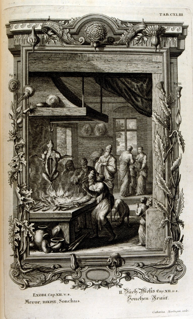 Illustration fra hellig fysik eller Bibelens naturhistorie af Johann Jakob Scheuchzer