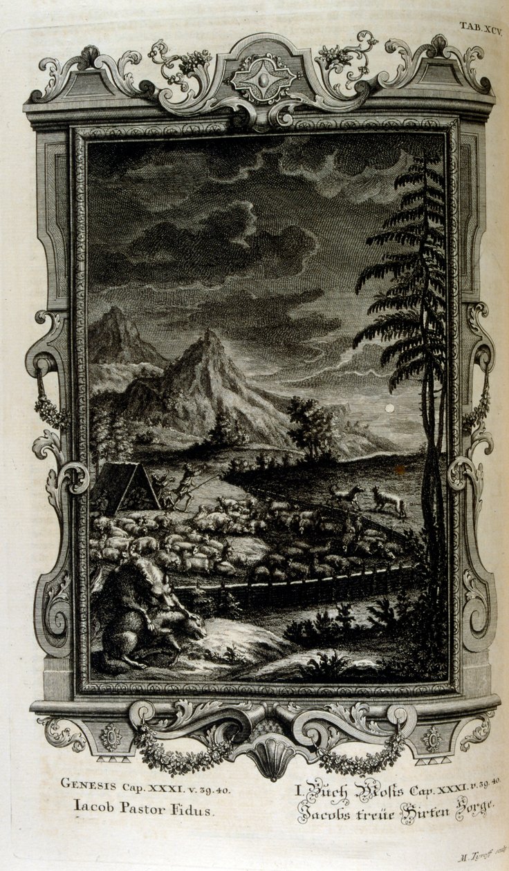 Jacobs marker af Johann Jakob Scheuchzer