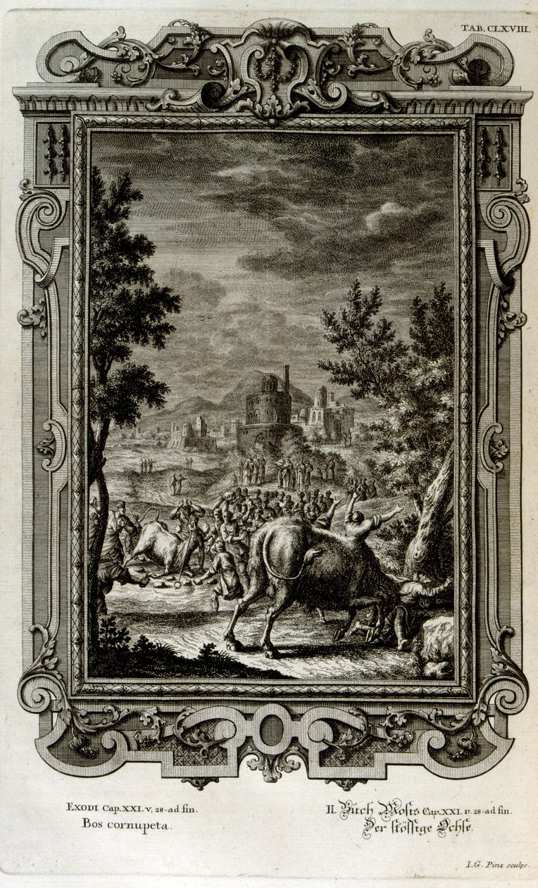 Ofrer vilde tyre af Johann Jakob Scheuchzer