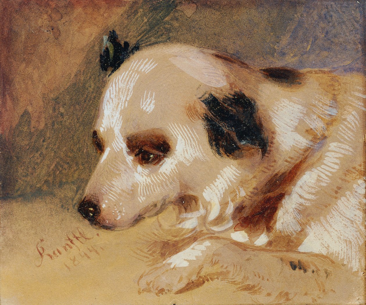 hundehoved af Johann Matthias Ranftl