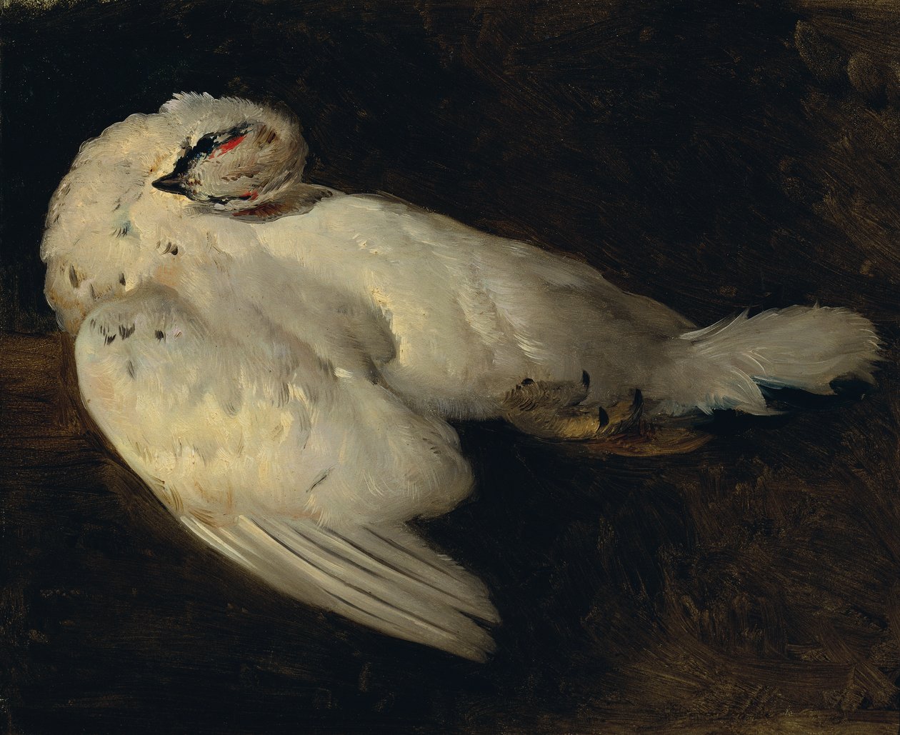 Død sne kylling af Johann Matthias Ranftl