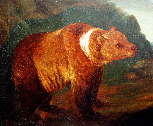 En brun bjørn i et landskab, ca. 1719 (olie på lærred) af Johann Melchior Roos