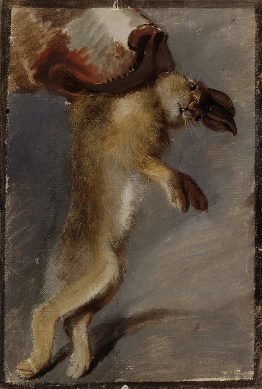 Studie af en Hare af Johann Peter Krafft