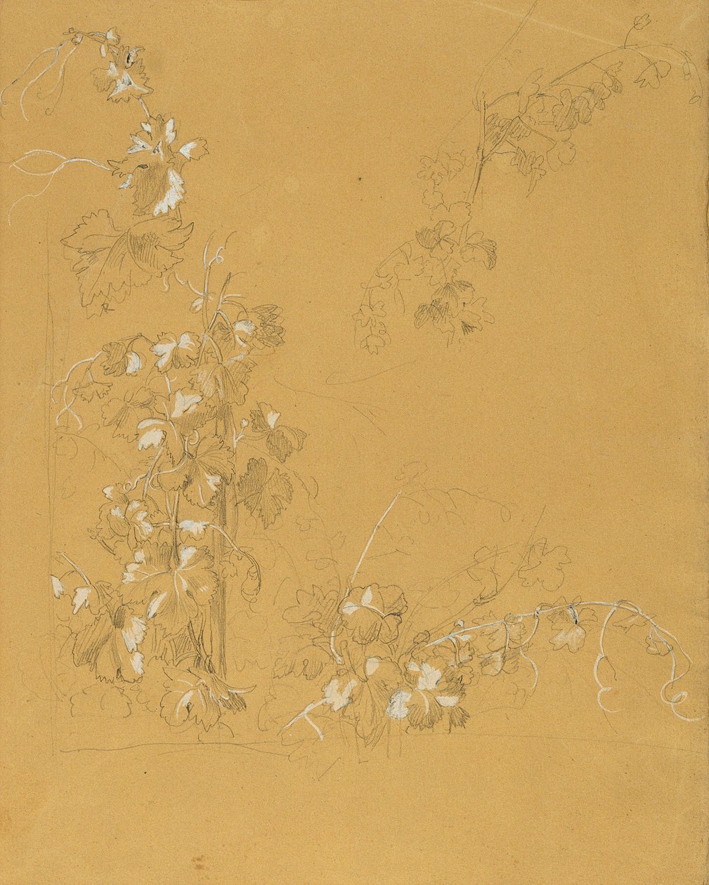 Weinstock, Studie for "Hermann og Dorothea i vingården" af Johann Peter Krafft