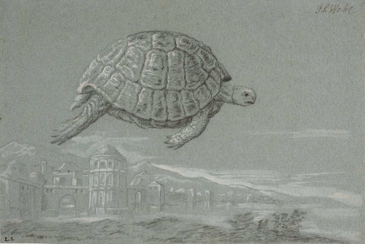 Studie af en skildpadde, og prospekt af en befæstet by ved havet (Venedig) af Johann Salomon Wahl