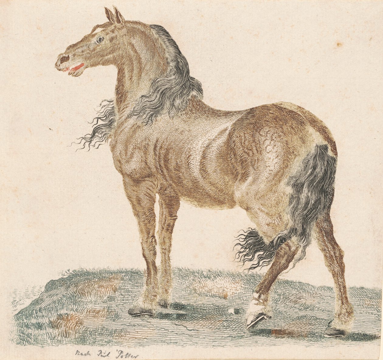 Nabohesten af Johann Teyler, after Paulus Potter