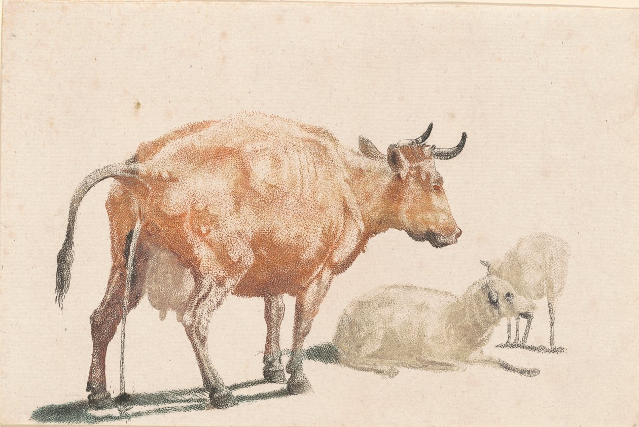 Den pisserende ko af Johann Teyler, after Paulus Potter
