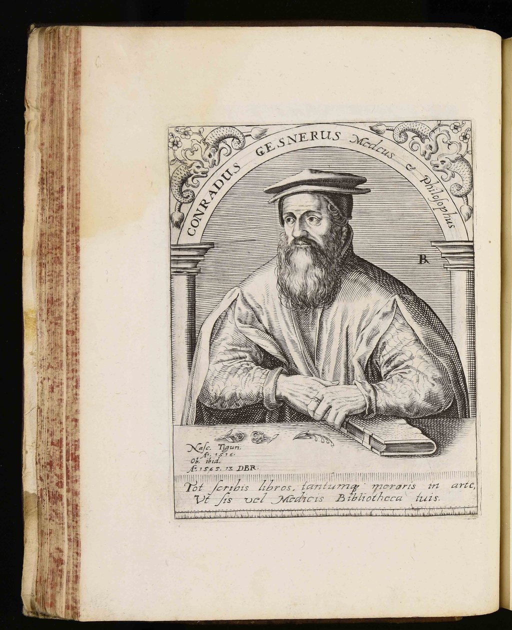 Conrad Gessner af Johann Theodor de Bry